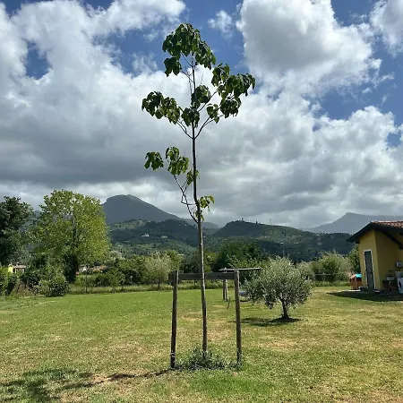 La Paulonia Capezzano Pianore